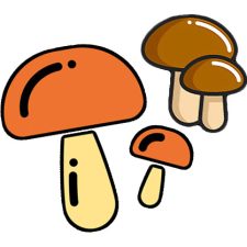 菌菇类Fungus